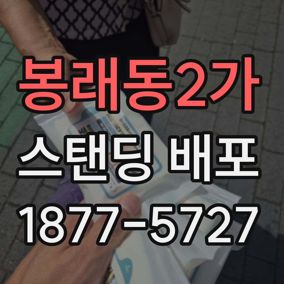 봉래동2가 스탠딩 배포