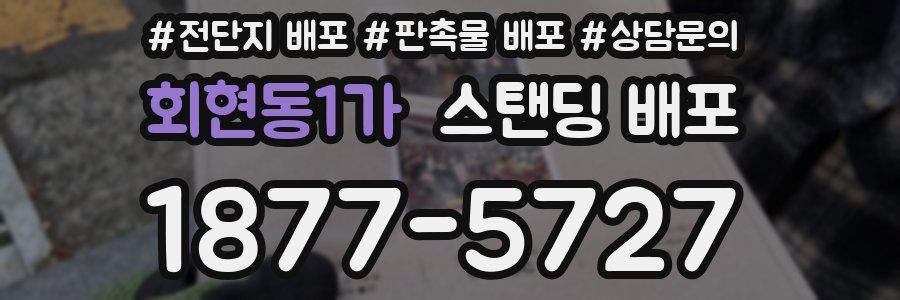 회현동1가 스탠딩 배포