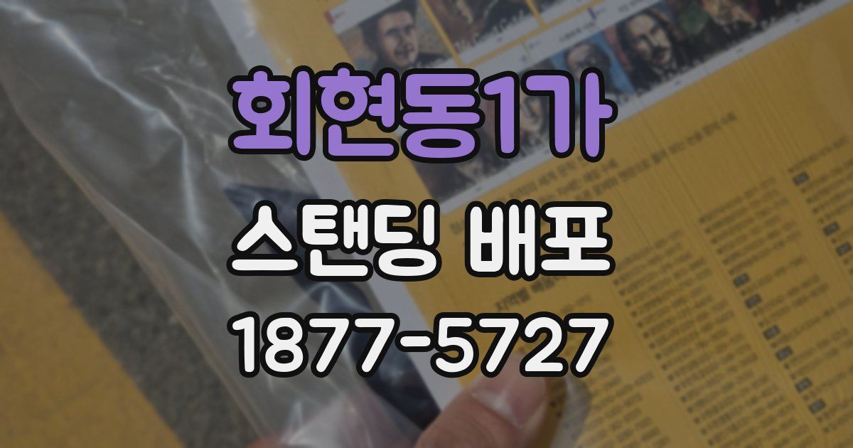 회현동1가 스탠딩 배포