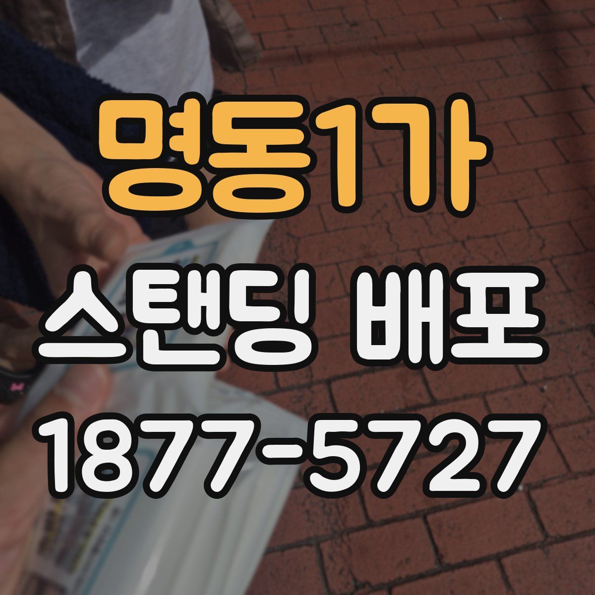 명동1가 스탠딩 배포