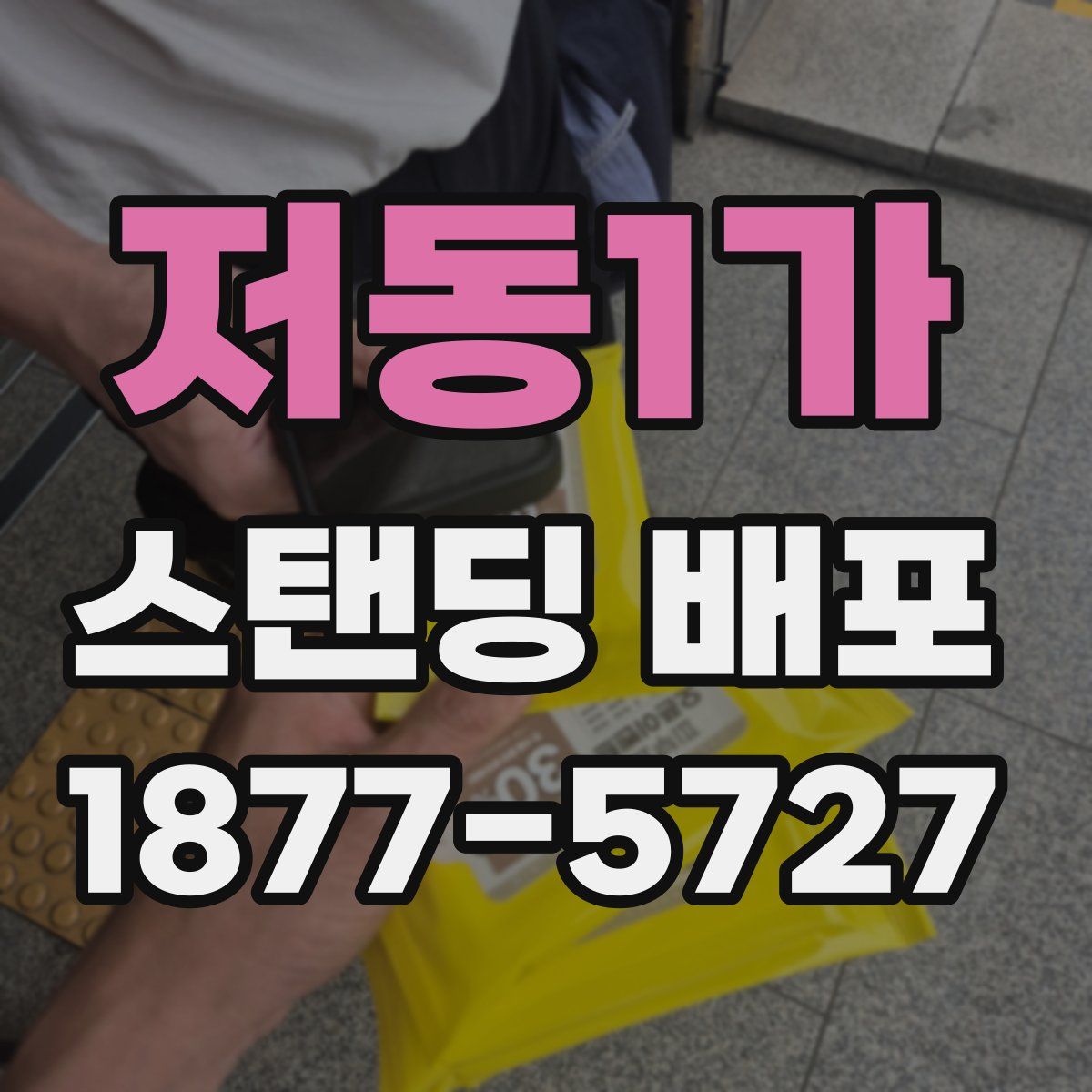 저동1가 스탠딩 배포