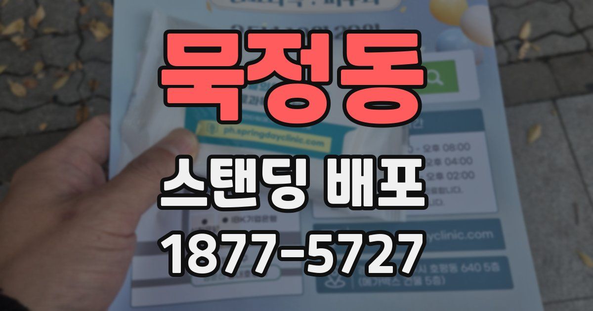 묵정동 스탠딩 배포