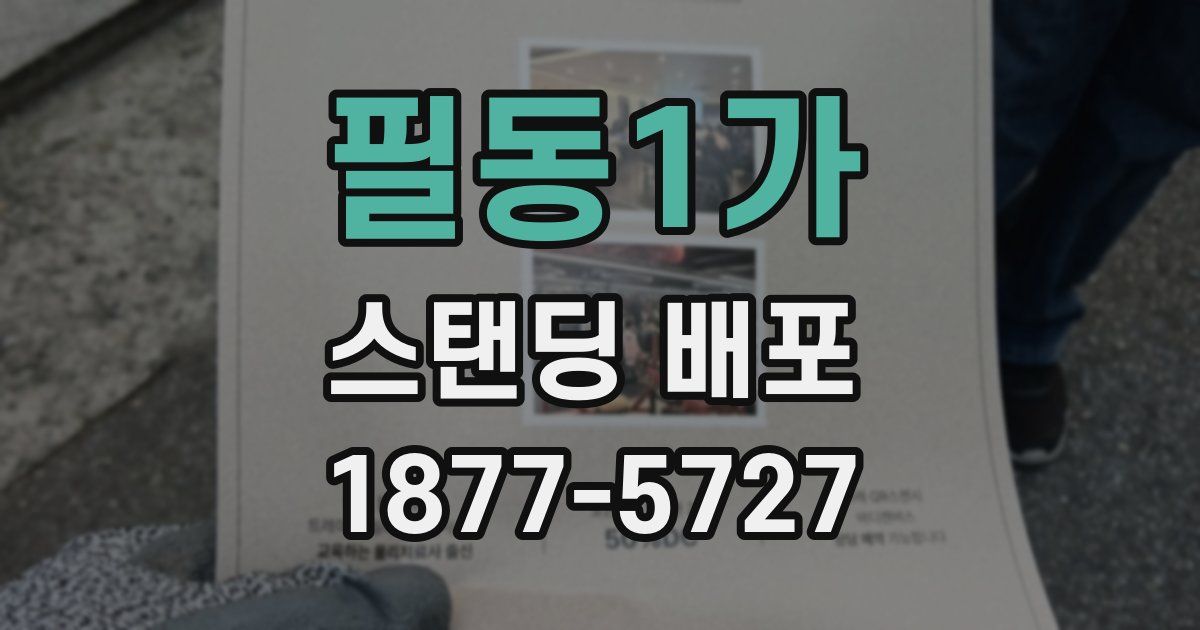 필동1가 스탠딩 배포