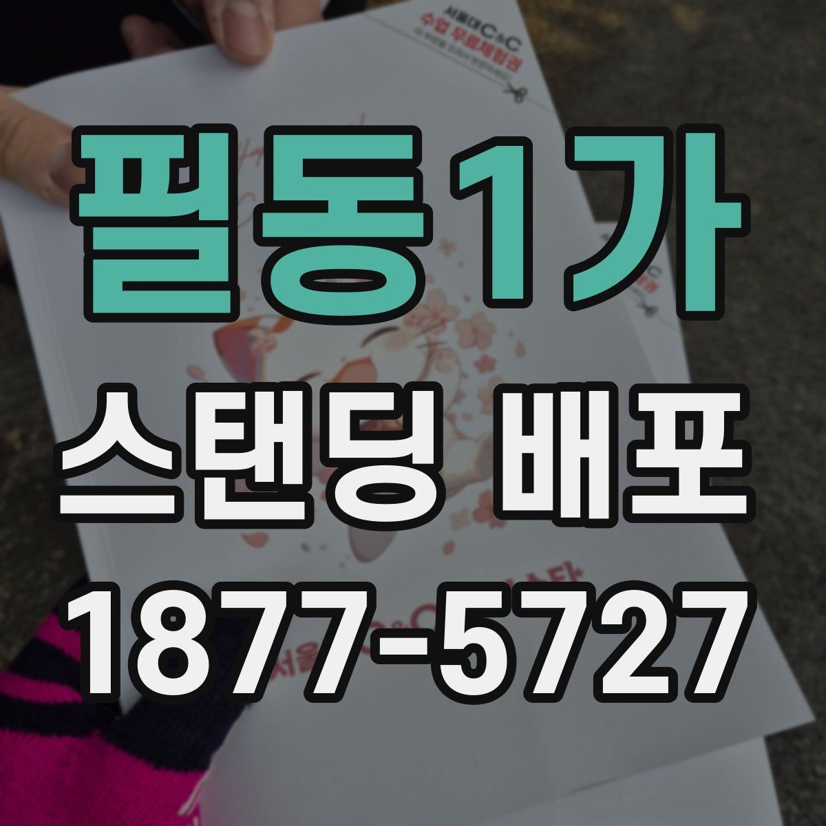 필동1가 스탠딩 배포