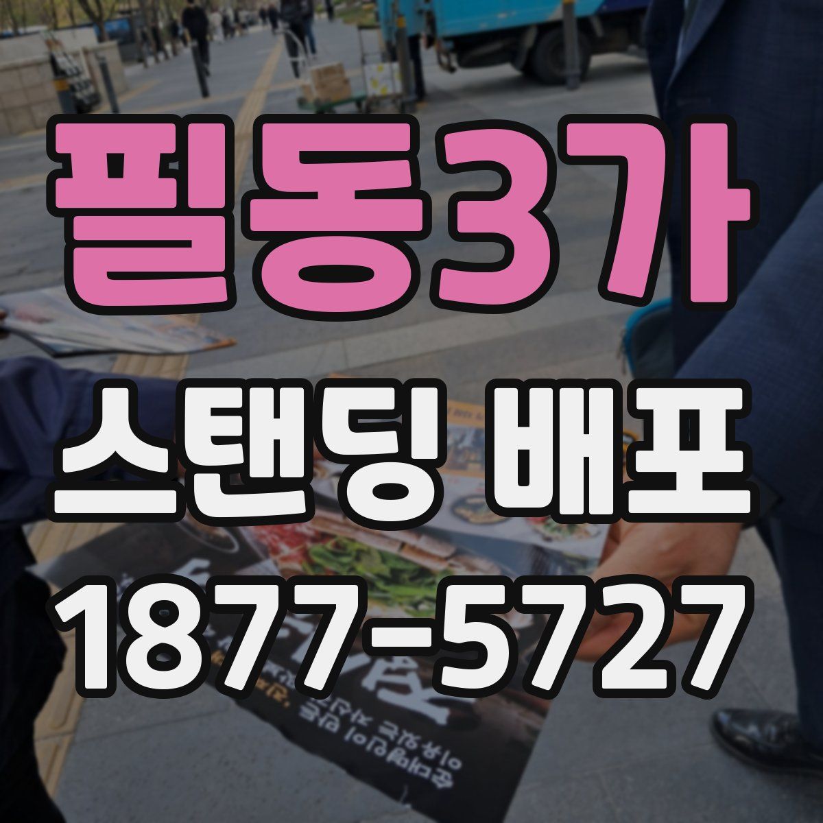필동3가 스탠딩 배포
