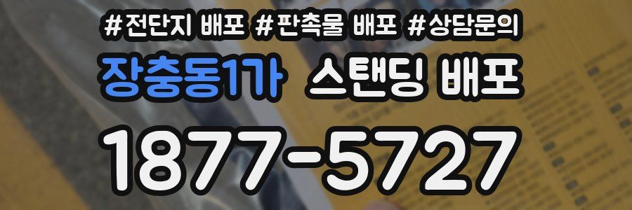 장충동1가 스탠딩 배포