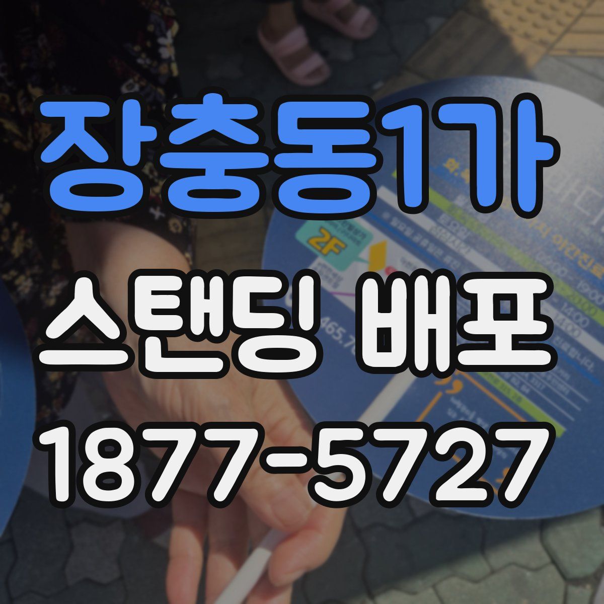 장충동1가 스탠딩 배포