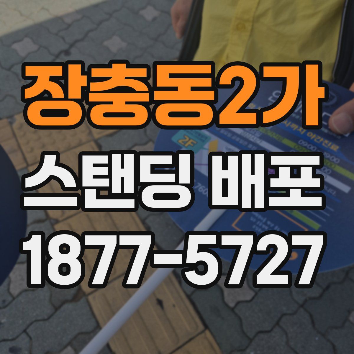 장충동2가 스탠딩 배포