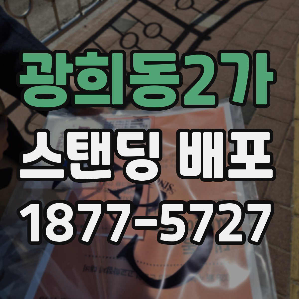 광희동2가 스탠딩 배포