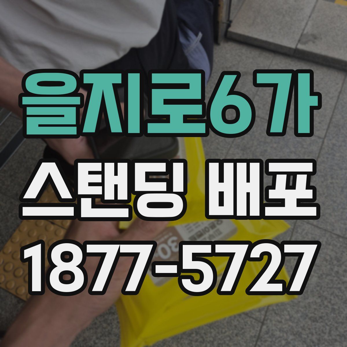 을지로6가 스탠딩 배포