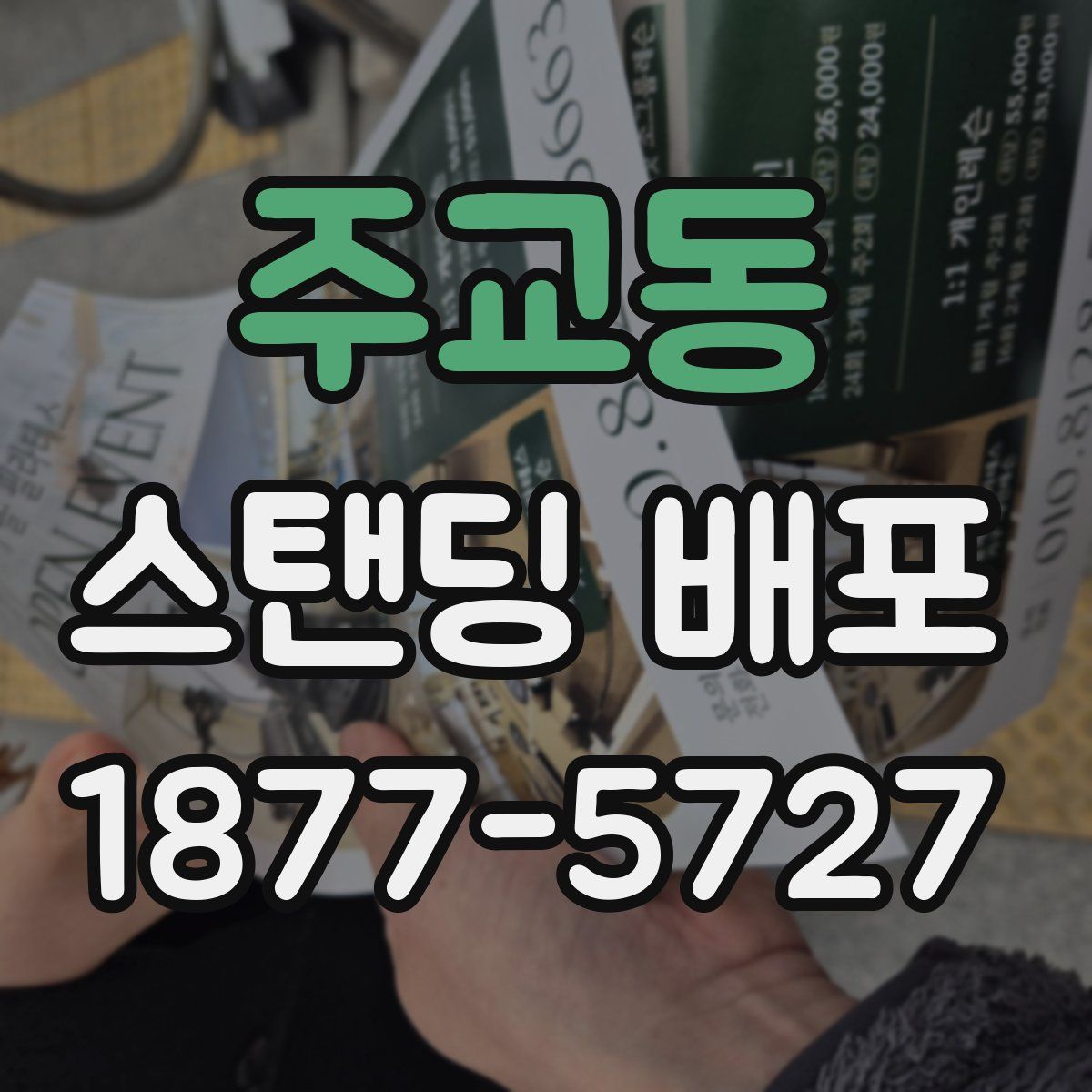주교동 스탠딩 배포