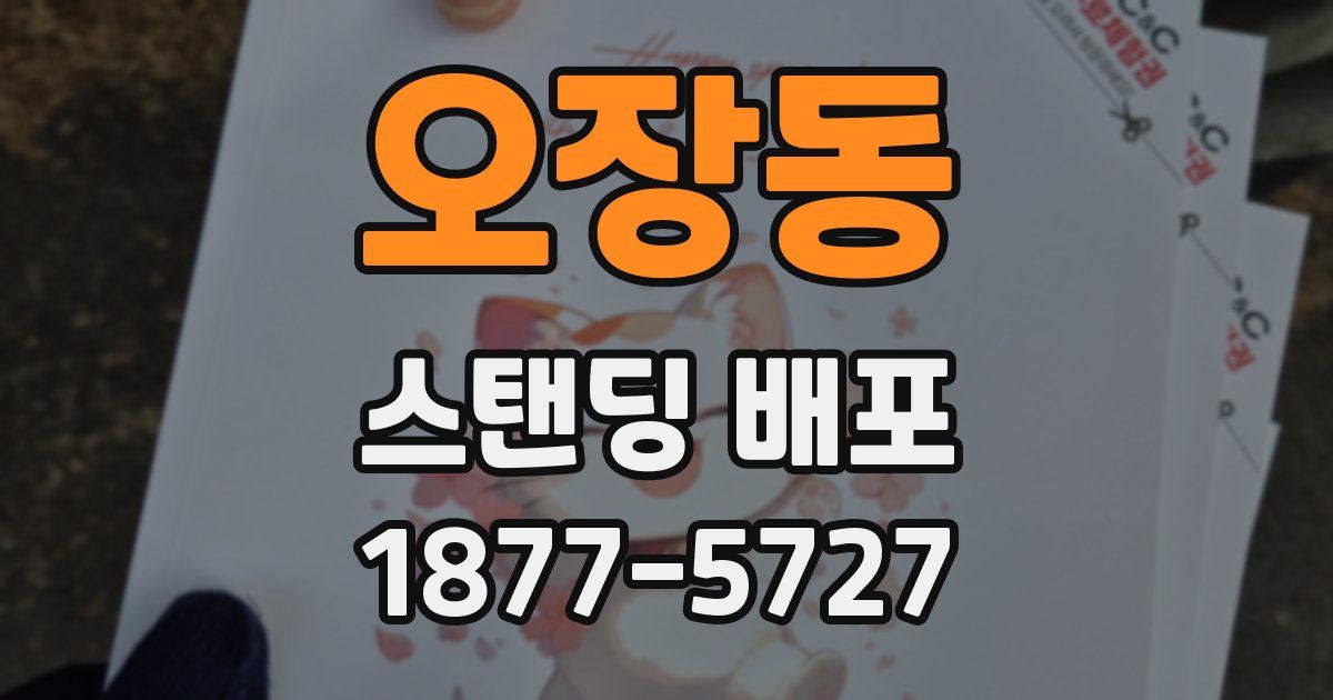 오장동 스탠딩 배포