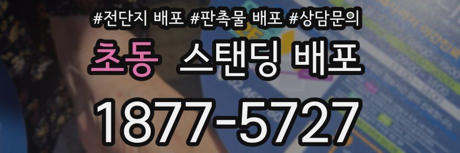 초동 스탠딩 배포
