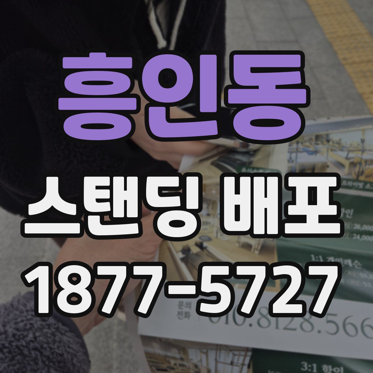 흥인동 스탠딩 배포