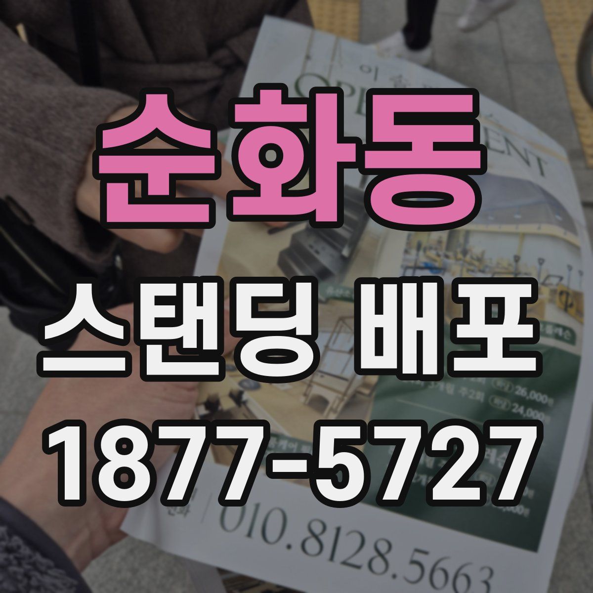 순화동 스탠딩 배포
