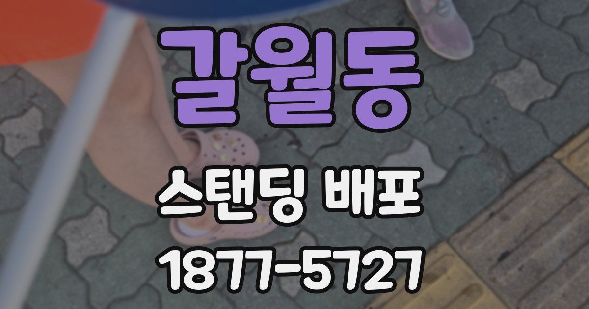 갈월동 스탠딩 배포