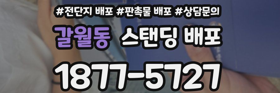 갈월동 스탠딩 배포