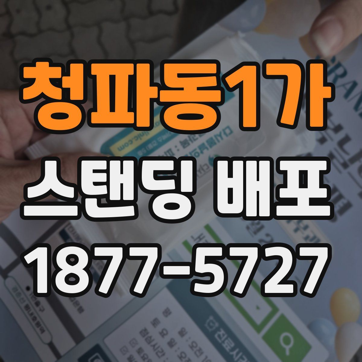 청파동1가 스탠딩 배포