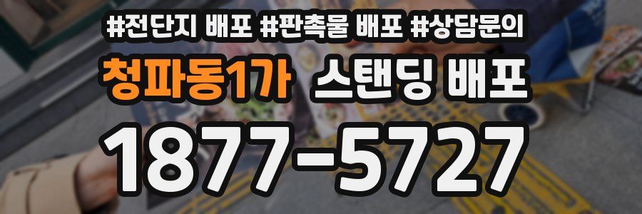 청파동1가 스탠딩 배포