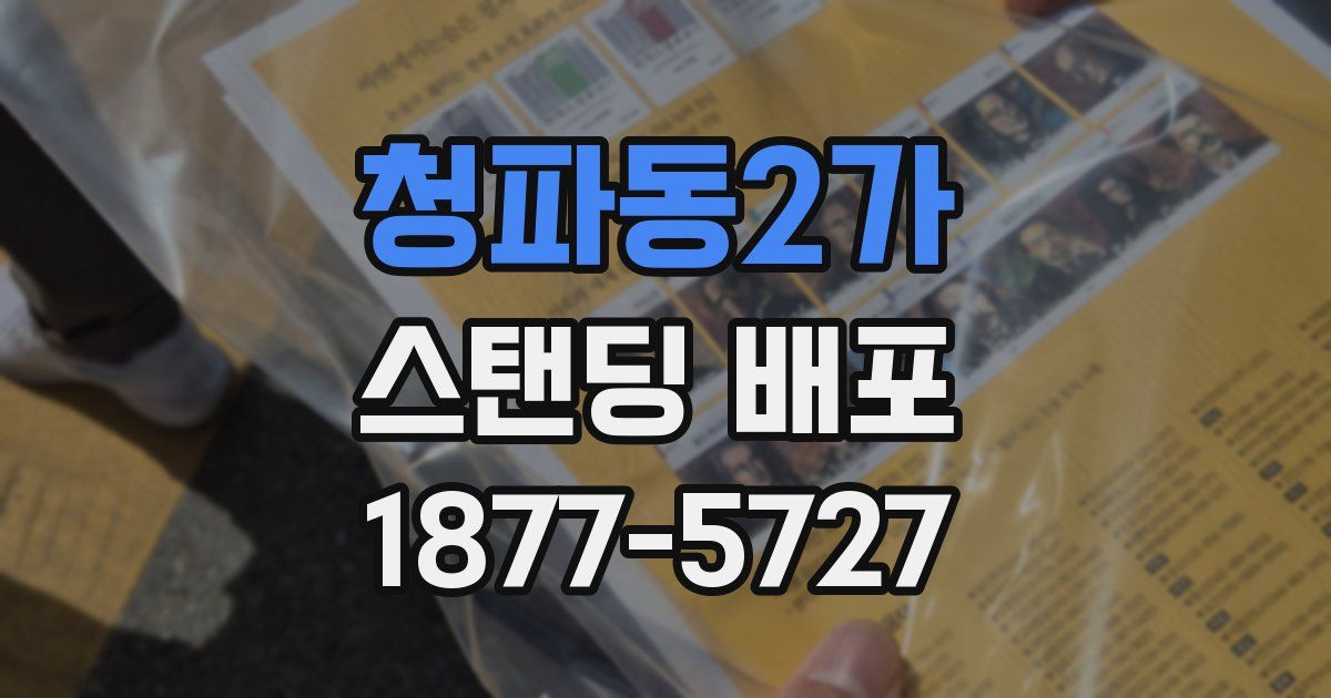 청파동2가 스탠딩 배포