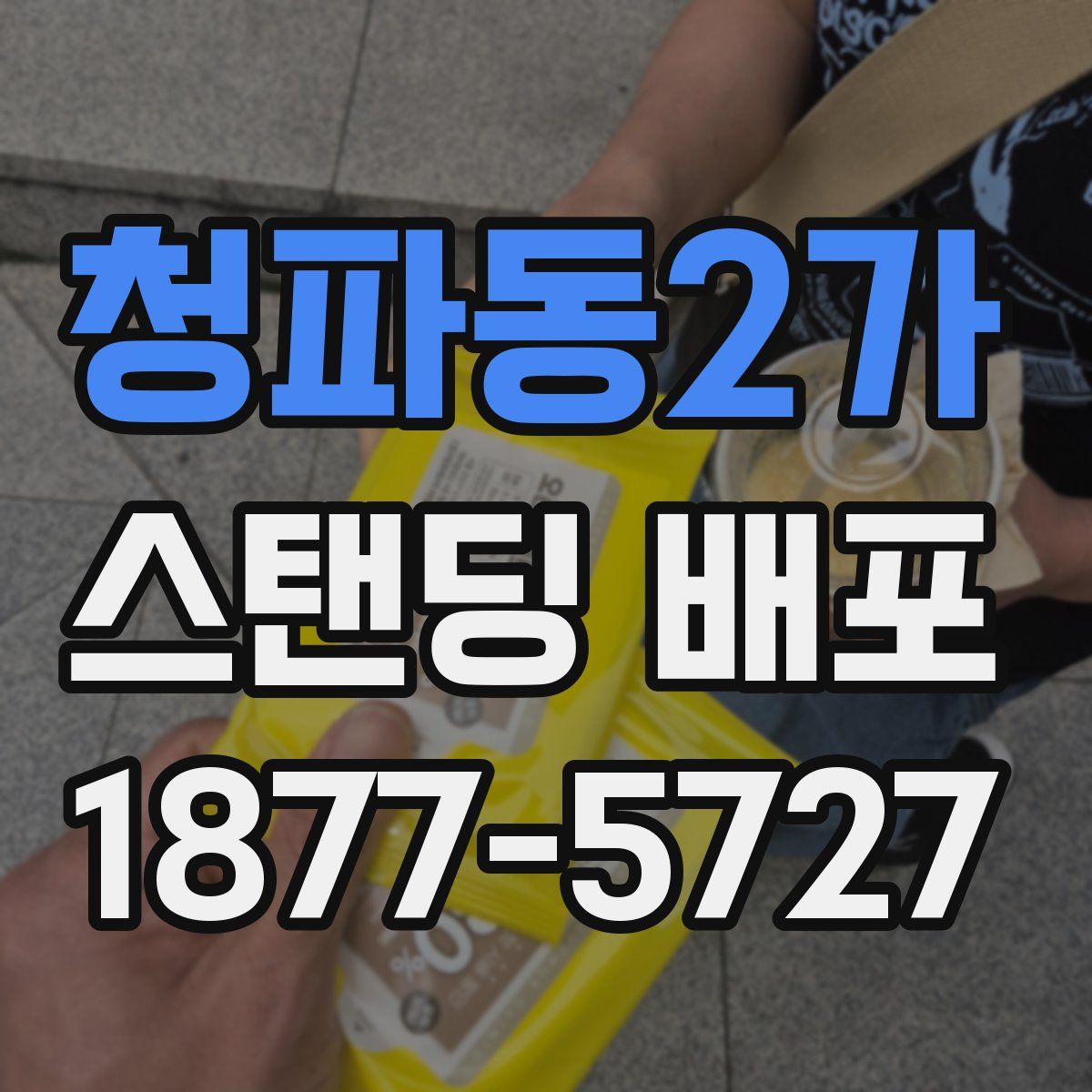 청파동2가 스탠딩 배포