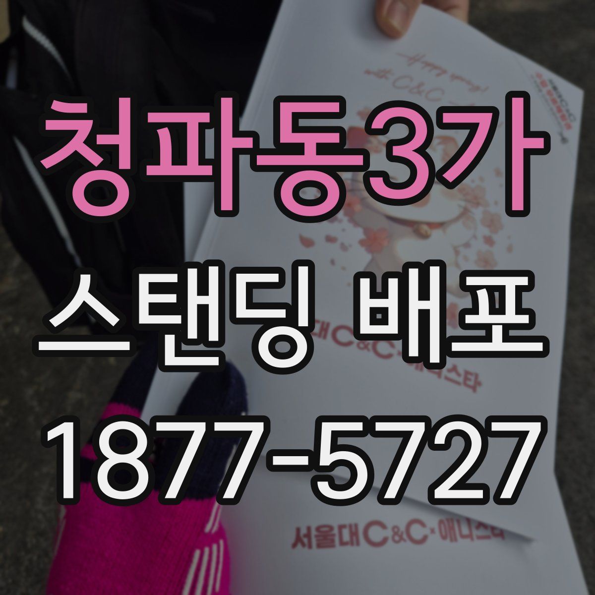 청파동3가 스탠딩 배포