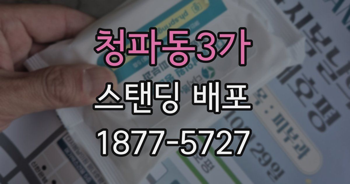 청파동3가 스탠딩 배포