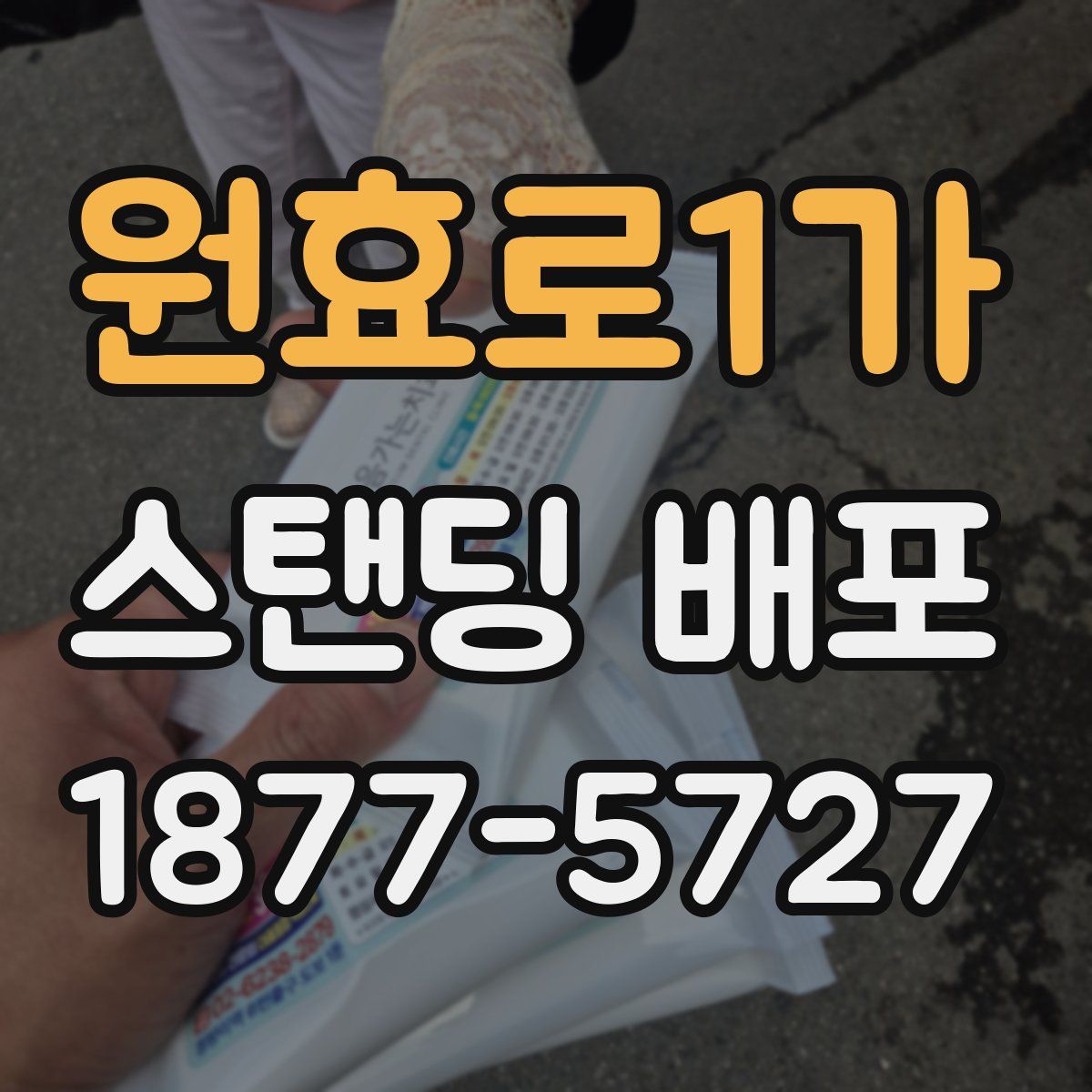 원효로1가 스탠딩 배포