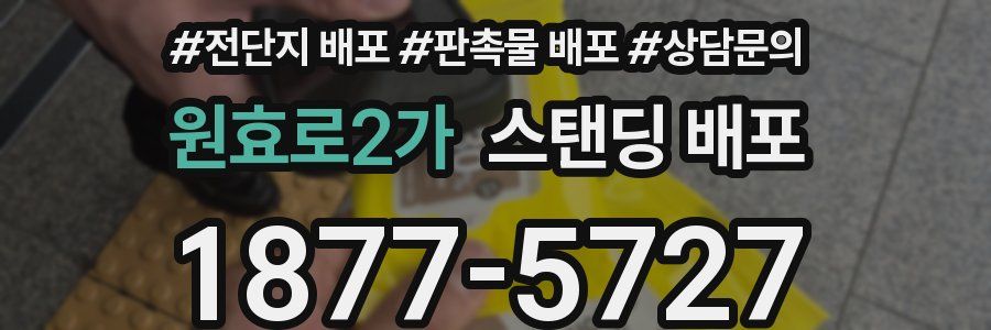 원효로2가 스탠딩 배포