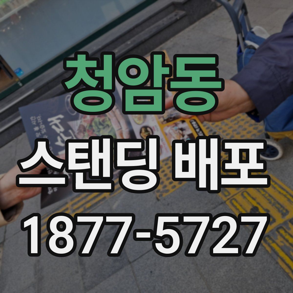 청암동 스탠딩 배포