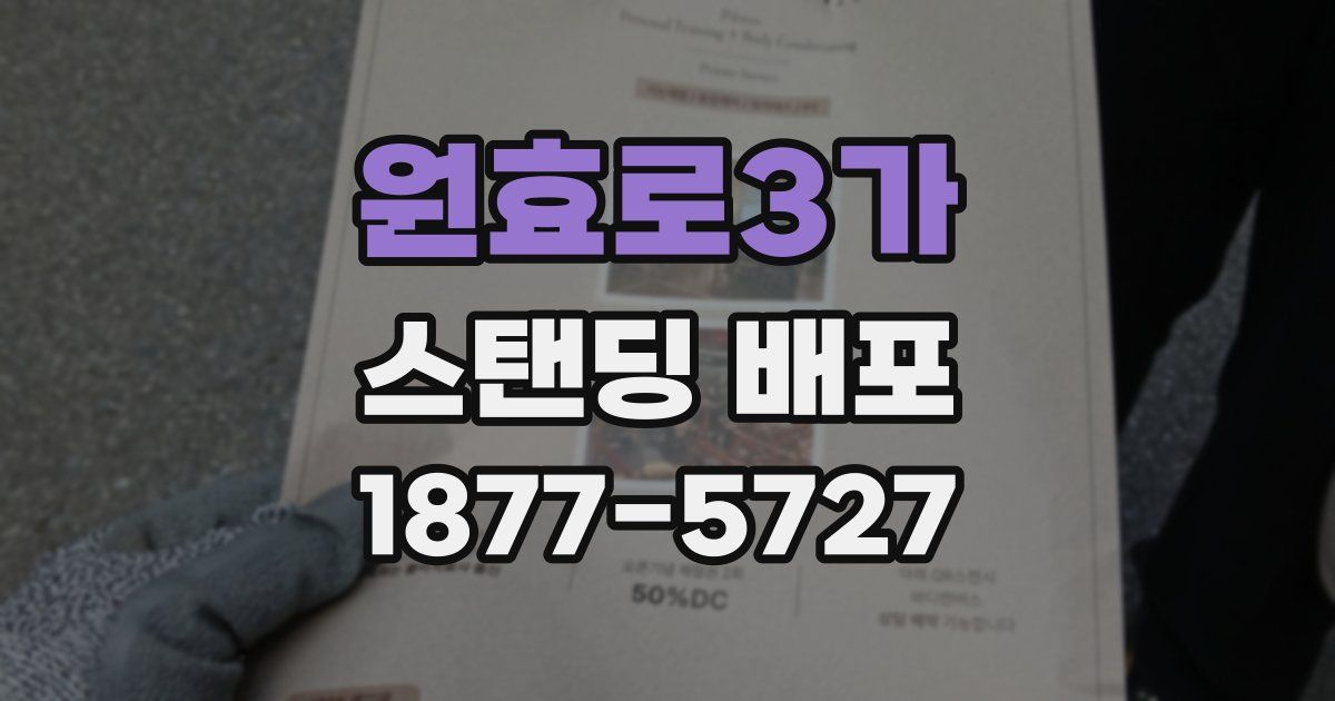 원효로3가 스탠딩 배포