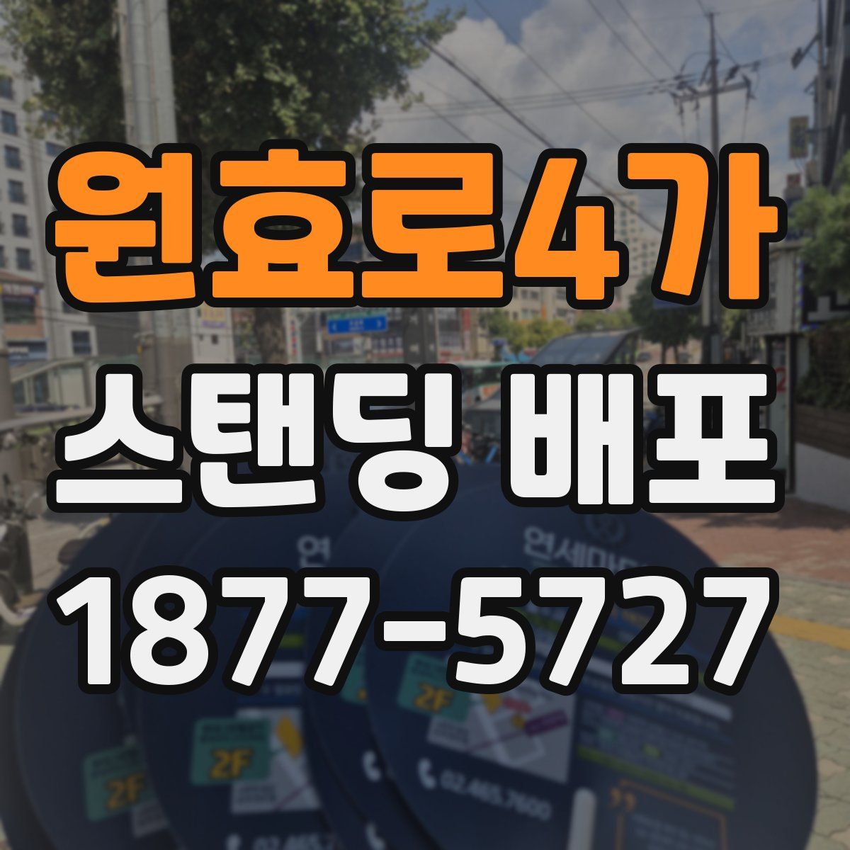 원효로4가 스탠딩 배포