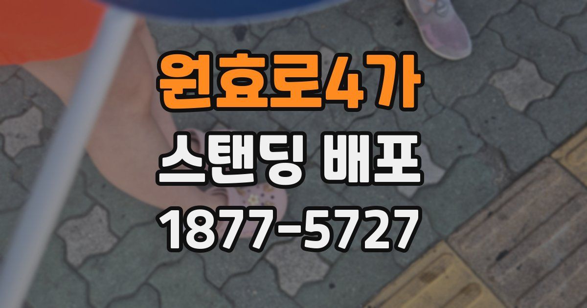 원효로4가 스탠딩 배포