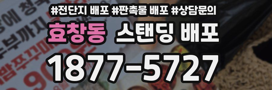 효창동 스탠딩 배포