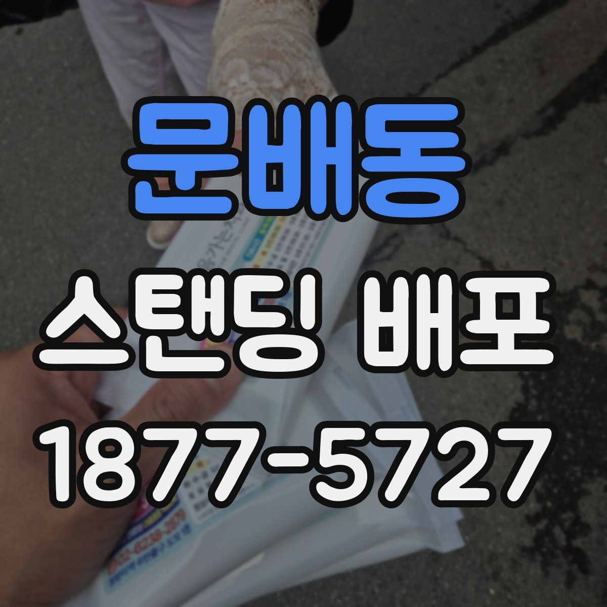 문배동 스탠딩 배포