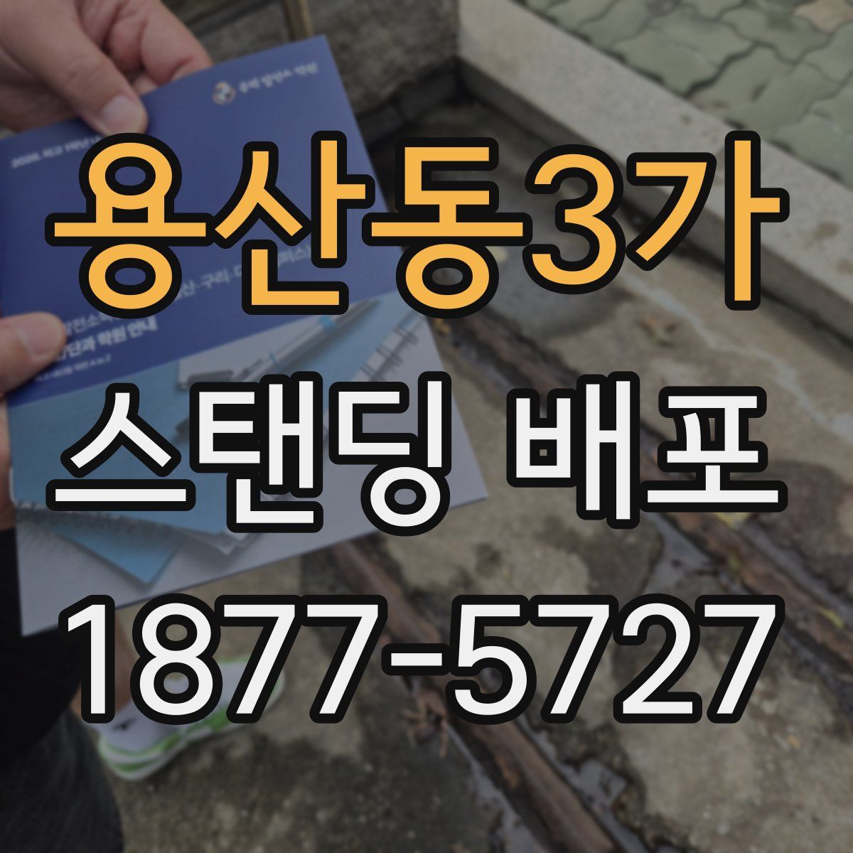 용산동3가 스탠딩 배포