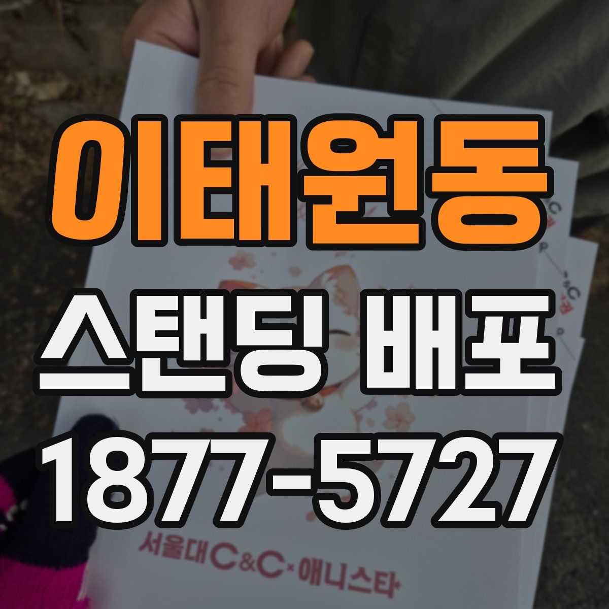 이태원동 스탠딩 배포