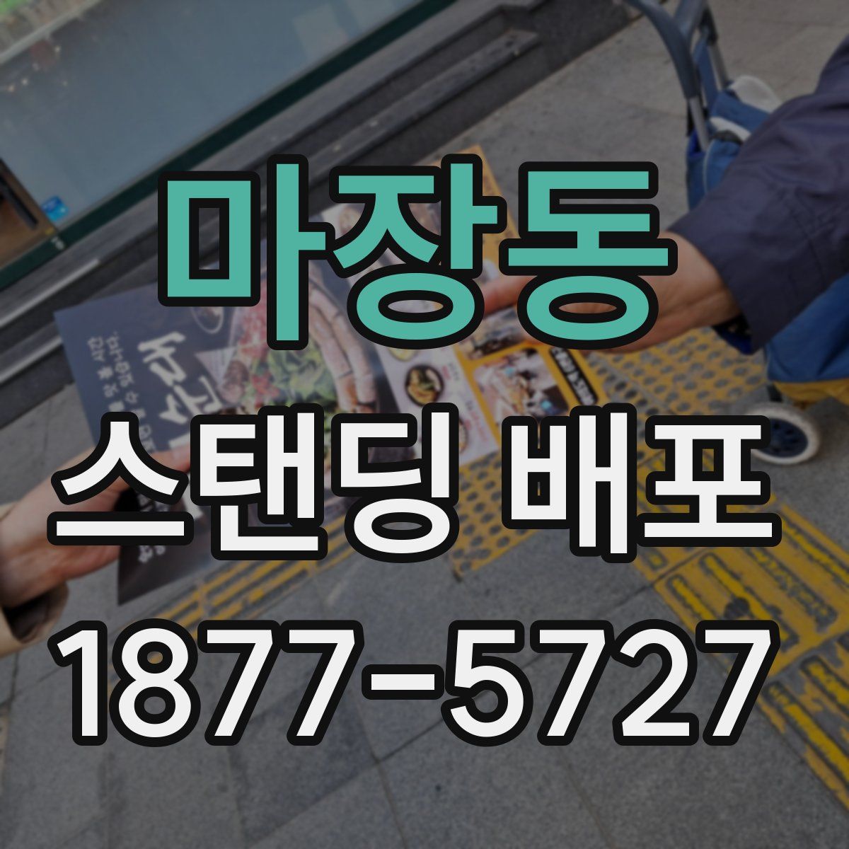 마장동 스탠딩 배포