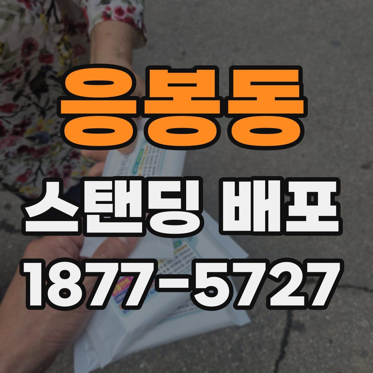 응봉동 스탠딩 배포