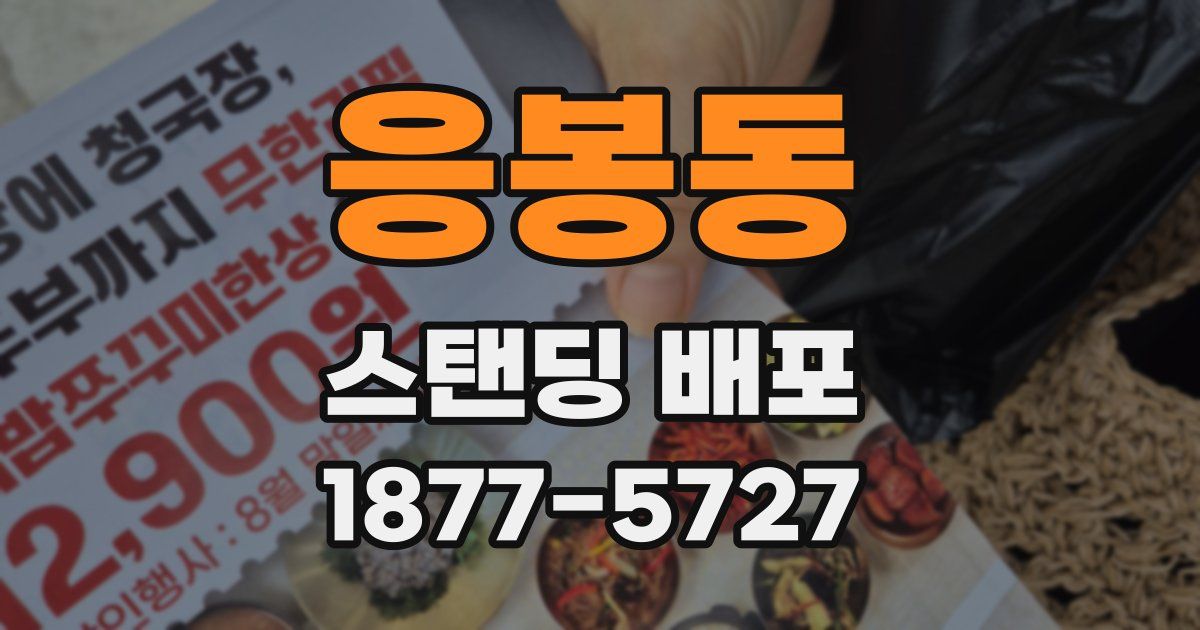 응봉동 스탠딩 배포