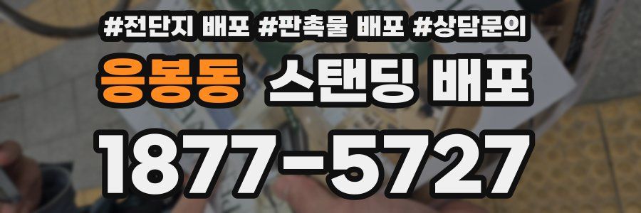 응봉동 스탠딩 배포