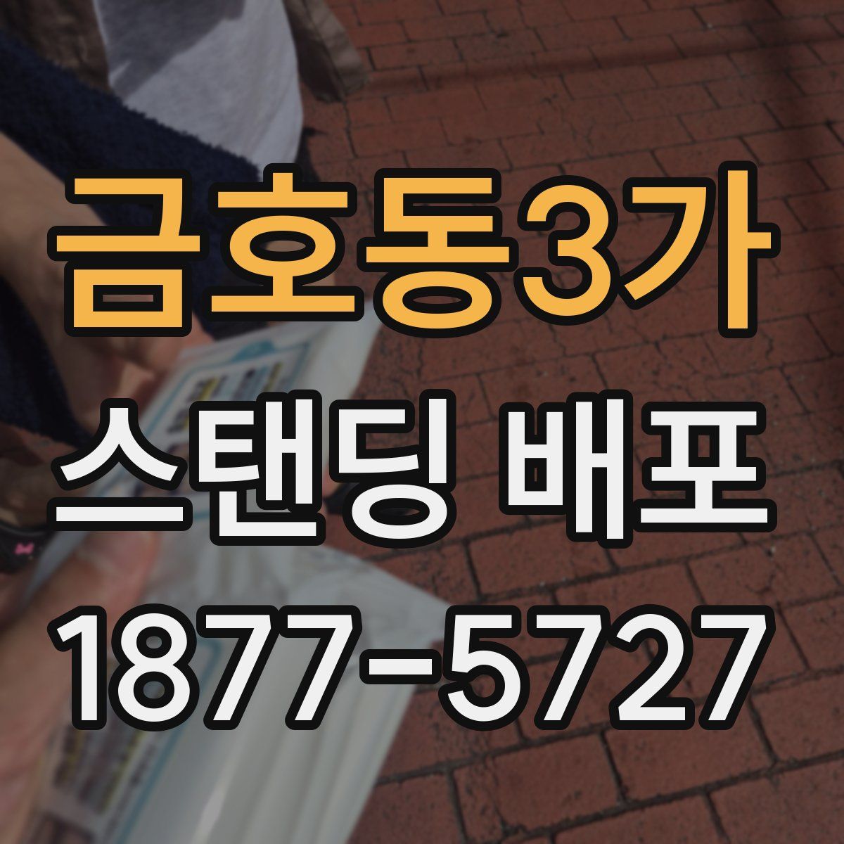 금호동3가 스탠딩 배포
