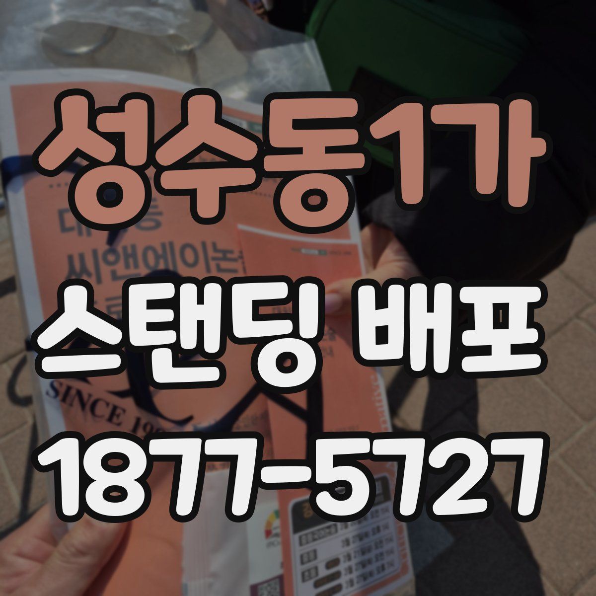 성수동1가 스탠딩 배포