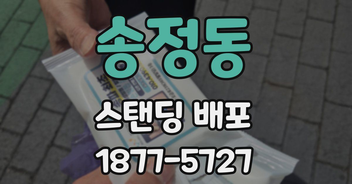 송정동 스탠딩 배포
