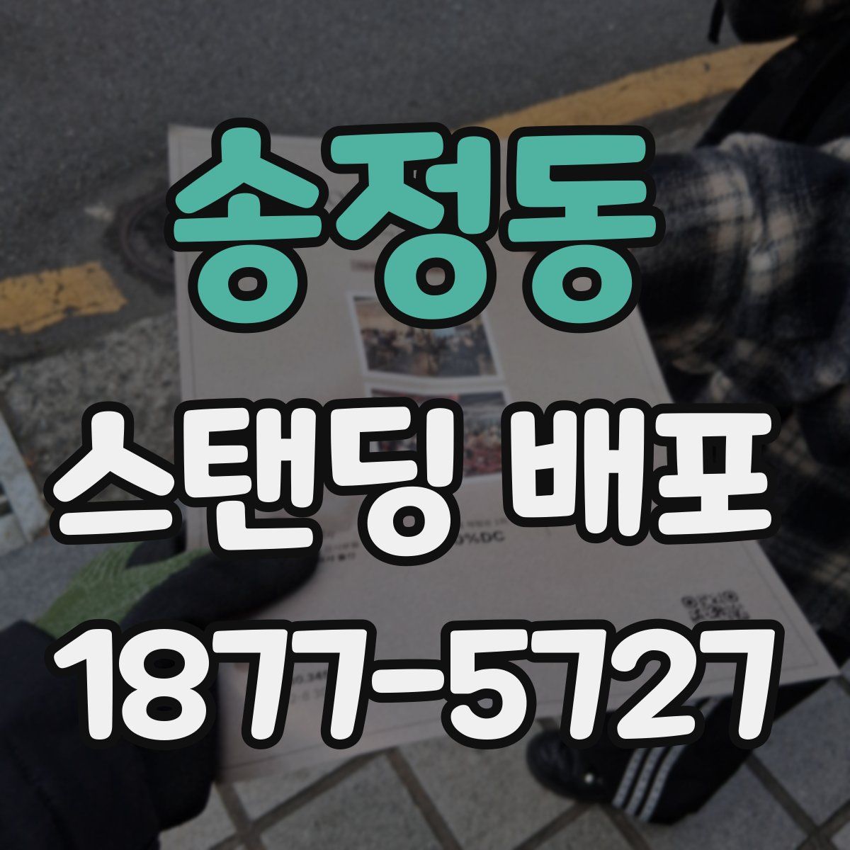 송정동 스탠딩 배포