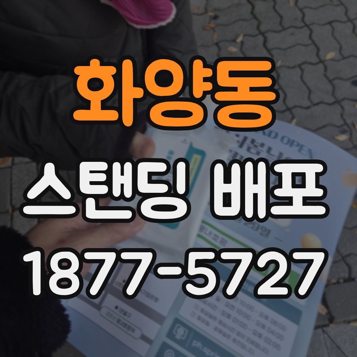 화양동 스탠딩 배포