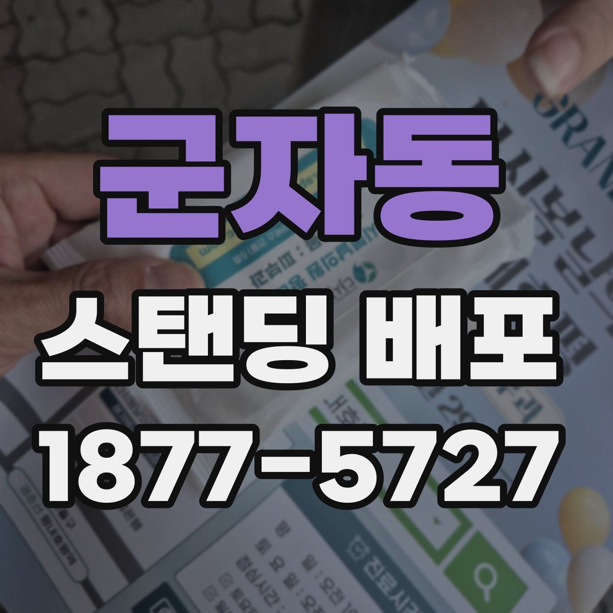 군자동 스탠딩 배포