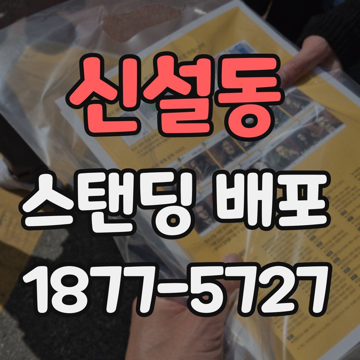 신설동 스탠딩 배포