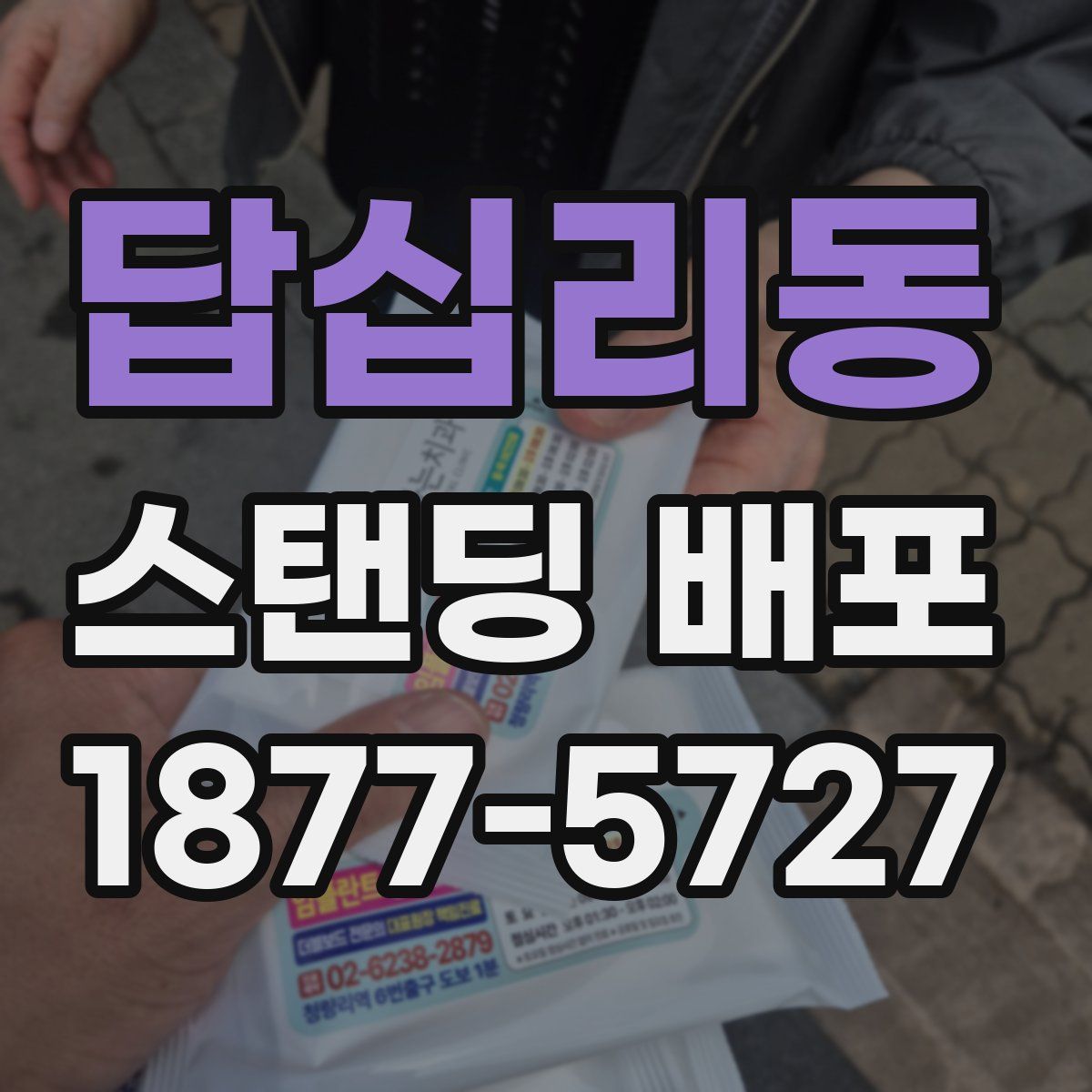 답십리동 스탠딩 배포