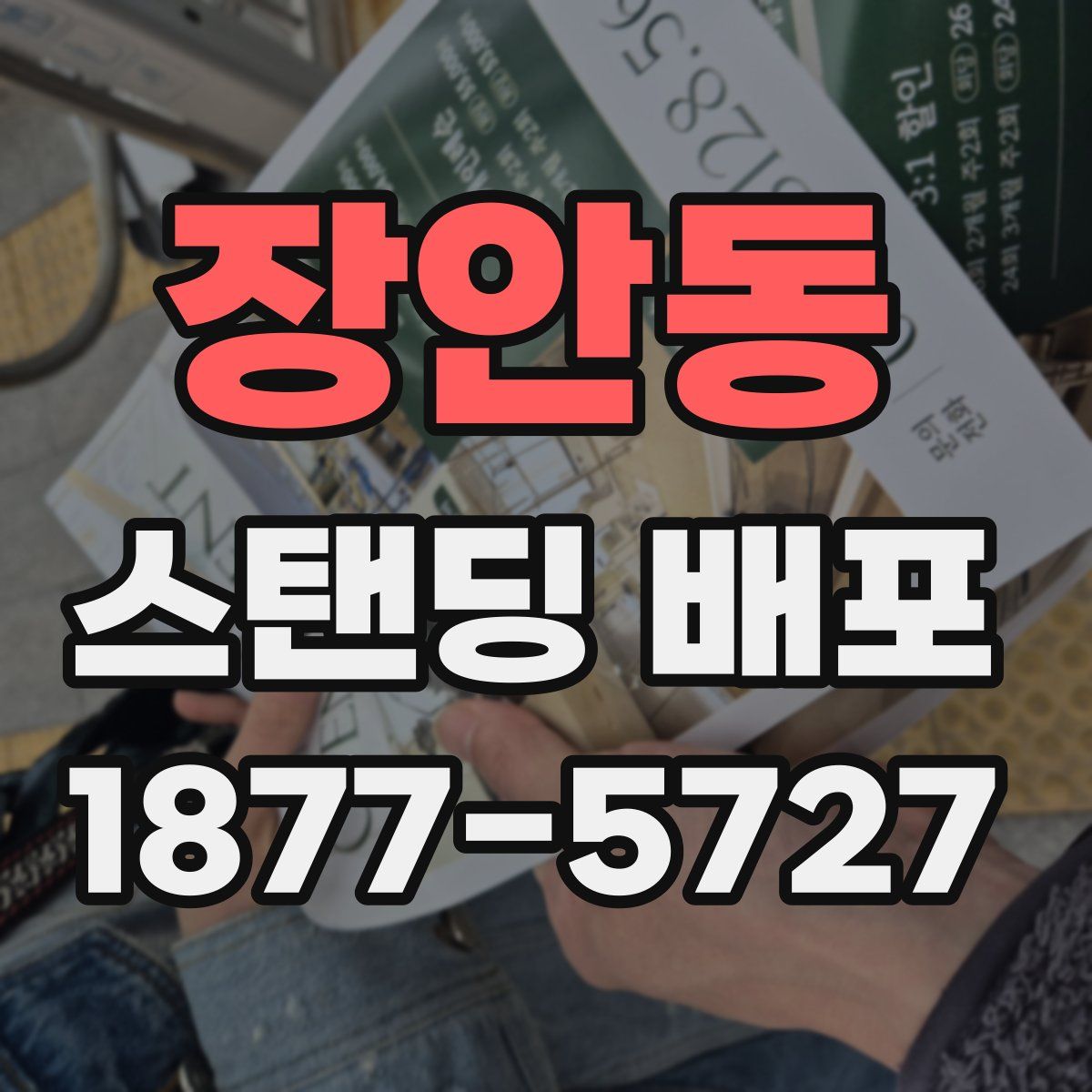 장안동 스탠딩 배포